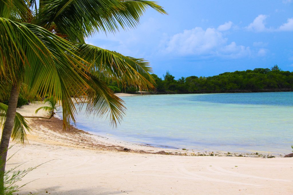 Looking for Bahamas Projects to Invest In